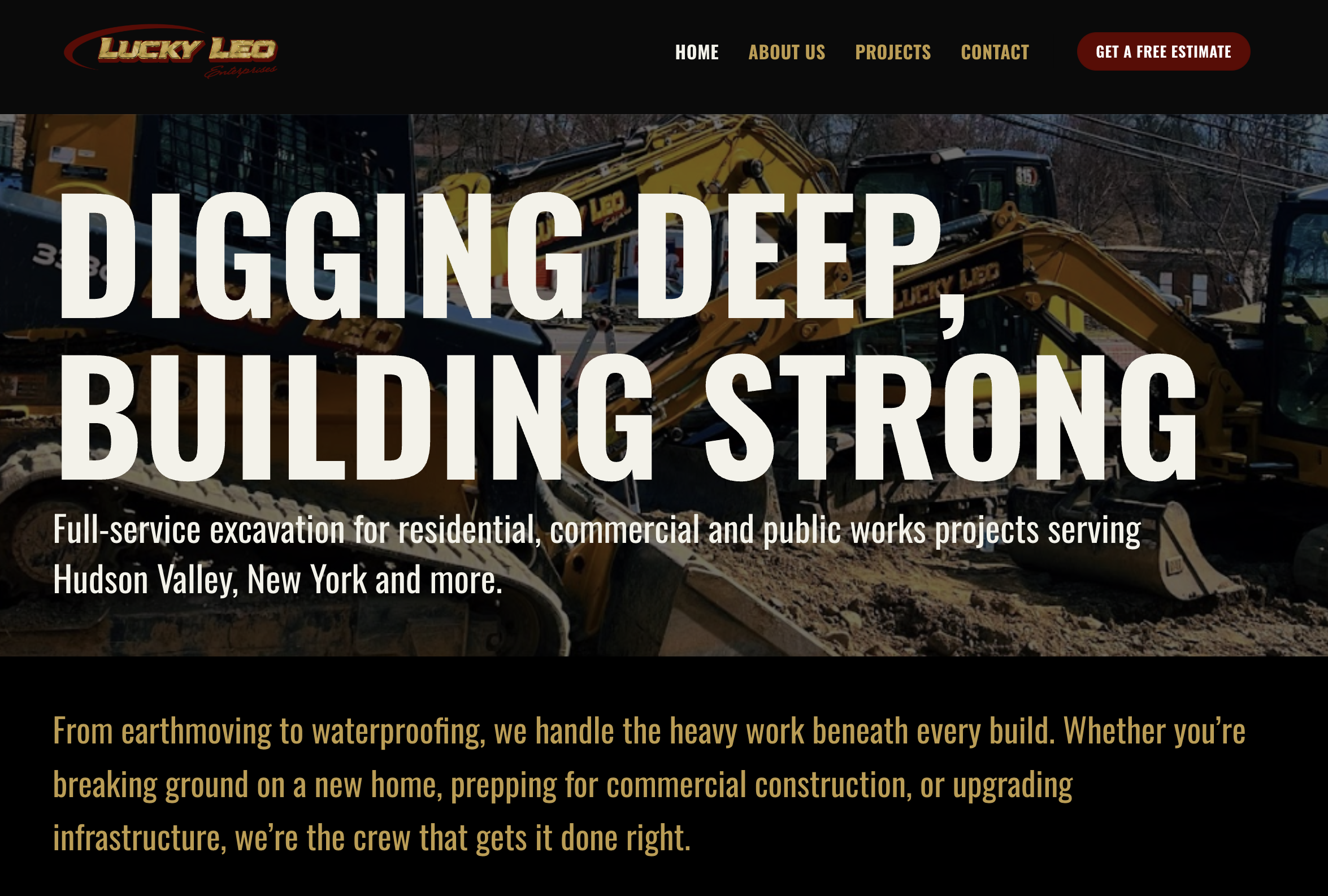 Lucky Leo Enterprises website screenshot